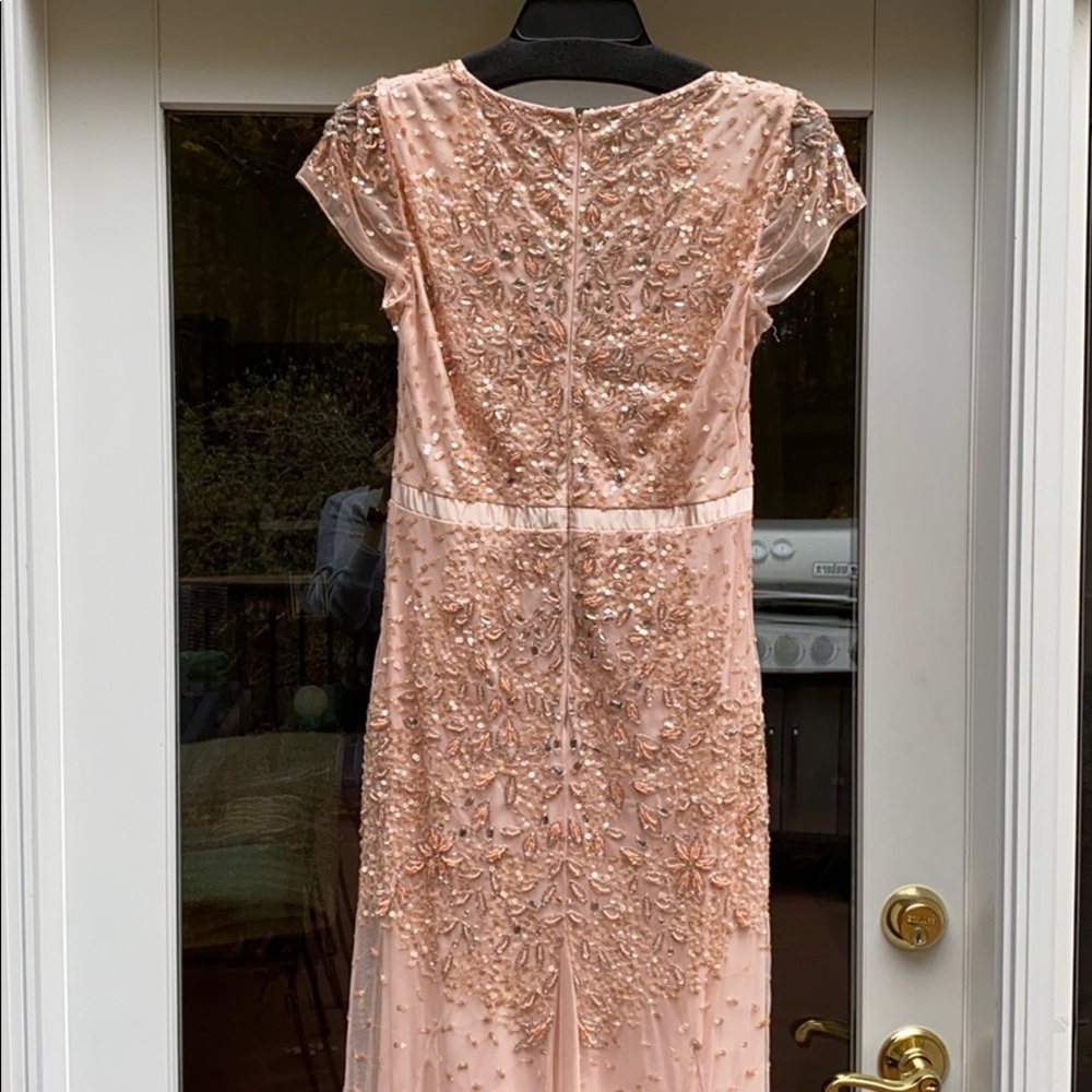 Blush Adrianna Papell Beaded Dress - Picture 7 of 8